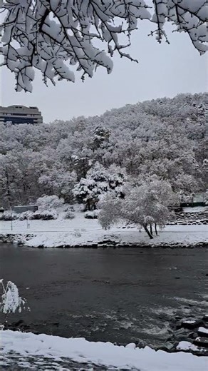 2024.11.27.韓国の城南市の初雪の風景분당탄천첫눈풍경