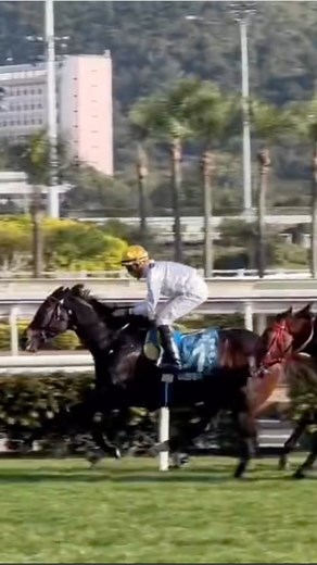 Hong Kong’s hero! GOLDEN SIXTY lands the 2023 G1 Stewards’ Cup. 🏆 Horse of a generation 💙💛🤍 #HKRacing | Hong Kong Racing