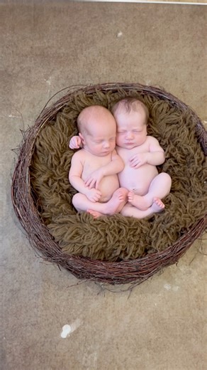 15K views · 193 reactions | Two for the price of one 殺 #newbornphotographer #newbornphotography #twins | Gillard Studios - Portrait Photography Studio | Facebook