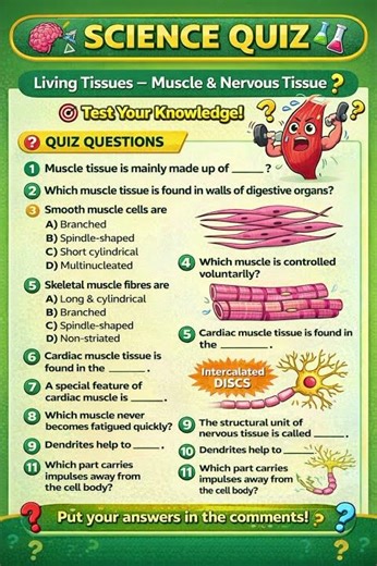 Animal Tissues – Grade 11 | Unit 01 Living Things