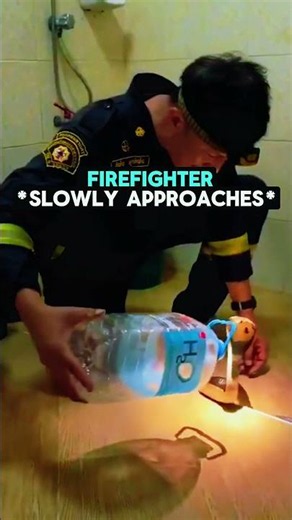 The Firefighter Thought Catching This Snake Would Be Easy 😳