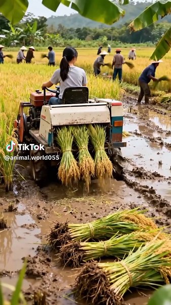 #foryourpage #fyopppppppppppppppppppp #ai #foryou #1million