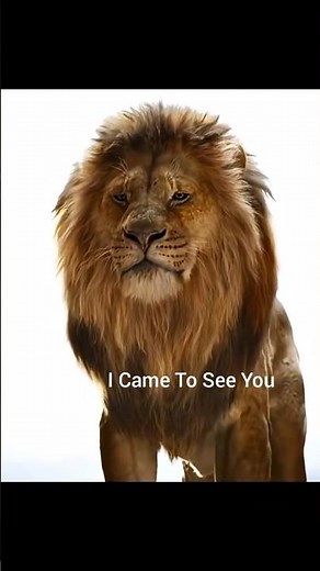 Mufasa I Came To See You...