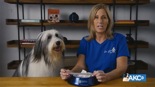 4.6K views · 95 reactions | Have you brushed your dog's teeth today? | American Kennel Club | Facebook