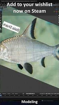 Bala Shark 3d-modeling #3d #3dmodeling #timelapse #devlog #indiegame #fish #aquarium #gamedev #game