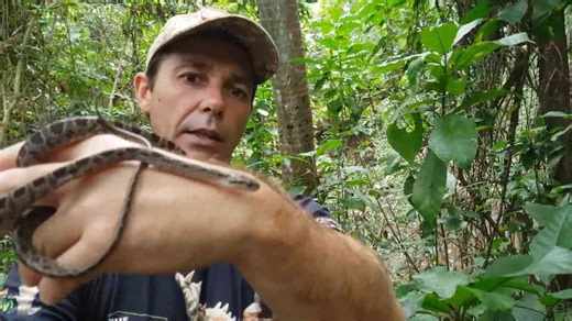 Top 10 Venomous Snakes