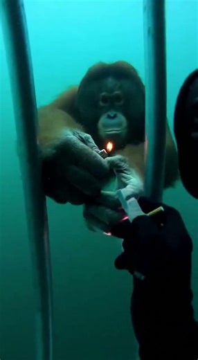 Bro came in clutch #shorts #funny