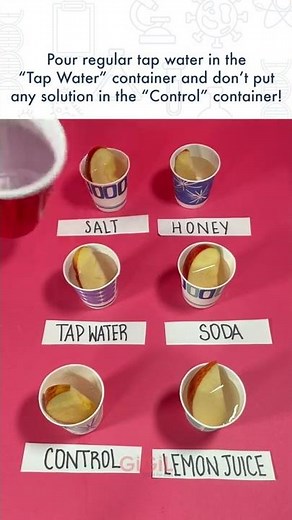 Prevent Apples From Browning Experiment | Science for Kids | STEM for Kids