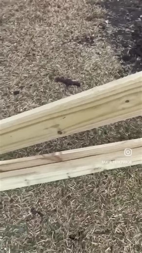 Easy way to build fence panels with few components. Important to Add Top Plate and these also look Pretty Amazing with a 2x4 weaved down the middle. The cordless SencoBrands Duraspin is a must have for Repetitive Fastening of Screws as it's the only tool of its kind so check it out.hope this helps someone. #Carpenter #Construction ‎