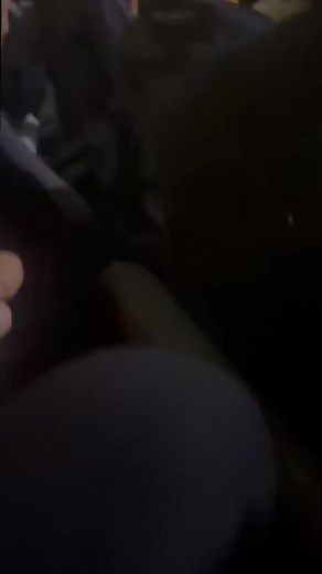 Funny Kuzu Moments