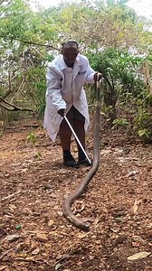 35K views · 252 reactions | March 8th is International Women's Day...