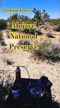 ​Exploring 1.6 Million Acres of Mojave National Preserve