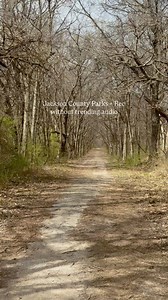 🌿✨ Experience Jackson County Parks Rec without trending audio. 🎧🚶‍♀️ Let the sounds of nature take center stage this National Take a Walk in the Park Day. 🍃🐦 No music, no voiceovers—just pure, peaceful outdoor moments. | Jackson County - Missouri