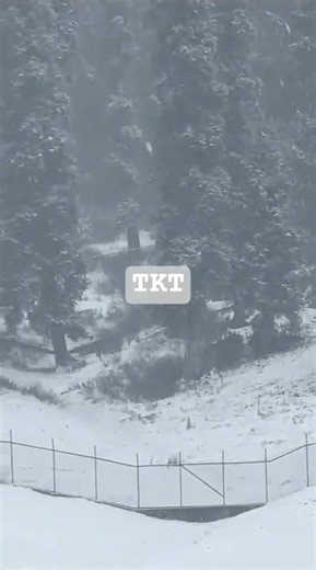 3 inches of snowfall accumulated at Gulmarg, currently snowing moderately in the area VC: Mir Faisal