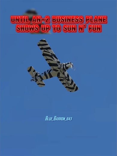 a Private jet grade AN-2💀 #aviation #edit #memes #shorts #fyp