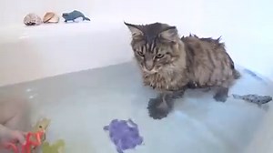 63K views · 2.8K reactions | From Chapter 7...