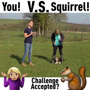 6.9K views · 16 reactions | Amazing recall is totally possible… …just by playing GAMES with your dog ! AND The best bit is the games are so fun and easy that you and your dog will love playing them! Join Our 25 Day Challenge now with 70% off and get playing right away! https://www.thesexierthanasquirrelchallenge.com/joinus | absoluteDOGS | Facebook
