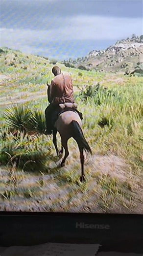 red read redemtion...