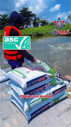 DÒNG THỨC ĂN HỖN HỢP U26 và U25 DÀNH CHO CÁ TRA!