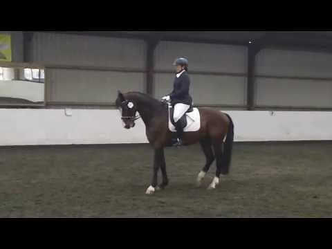 Martine and Garfield Novice 23 Dressage Test 70%