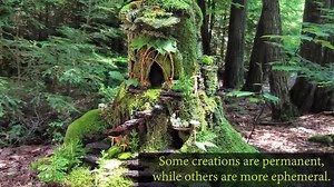 Watch Fairy Houses&colon; How to Create Whimsical Homes for Fairy Folk on Amazon Live