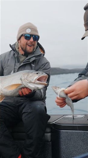 We caught a fish inside a fish!