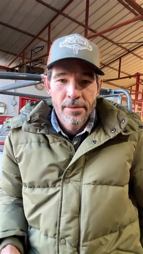 Mercado Raiz no Texas: Vida Simples de Cowboy