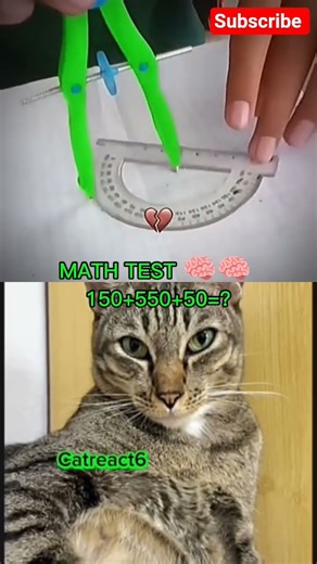 protakter aura 😱#catbombastic #shortvideos #catreaction #catmoments #viral #trending