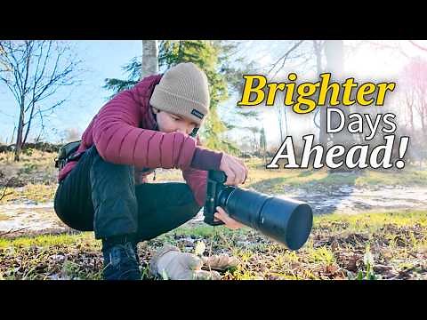 Finding and Photographing The First Signs of Spring