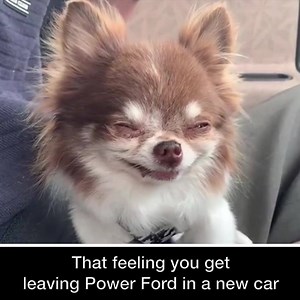 You know that feeling...😍 Every new Ford comes with... ✅ 100K Warranty ✅ Complimentary Maintenance ✅ Roadside Assistance Find Your Ride 👉 MyPowerFord.com | Power Ford