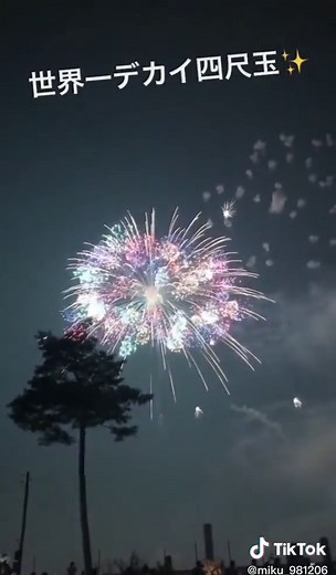 新潟まつり花火大会の魅力と楽しみ方