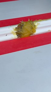 155K views · 3.1K reactions | YOU CAN MAKE GOOD ANY SHAPE PROFILE...