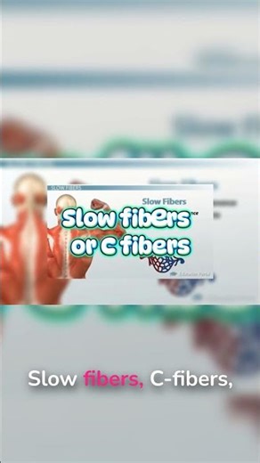 What Really Happens When You Stub Your Toe?