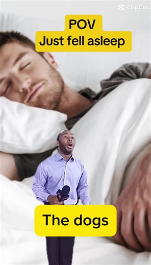 Dogs be driving me crazy when I’m trying to sleep . #FunnyShorts #viral #funny #foryoupage