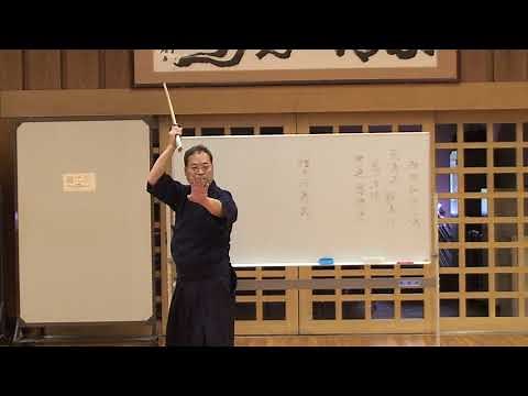 Shinto Muso Ryu 神道夢想流杖道特別稽古会
