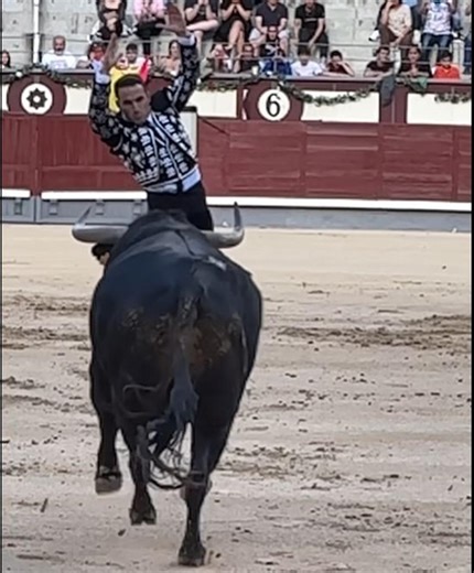 Course landaise : Baptiste Bordes, une première réussie dans les arènes de Madrid
