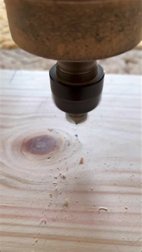 Escape into totally addictive stories!