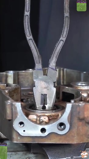 Exploring Reddit's Rart2: A Dive into the Unusual