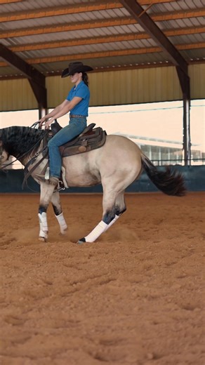 🔥DUN IT ON LINE 🔥 An owned son by the legendary Hollywood Dun It. His bloodlines and look are hard to find. 👀 Pedigree info: https://bit.ly/4mcCpu0 📍Come try “Trump” today at our facility in Whitesboro! 🎥 Lindsay Henricks | Baruch Reining Horses