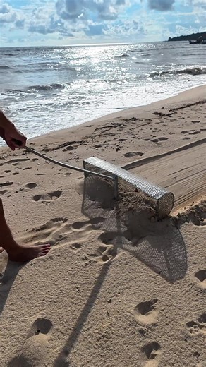 Beach Clean Up Treasure Hunt for Hidden Treasures