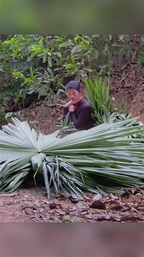 Building a Sustainable Toilet: Step-by-Step Guide