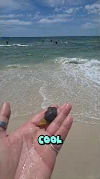What is it!?