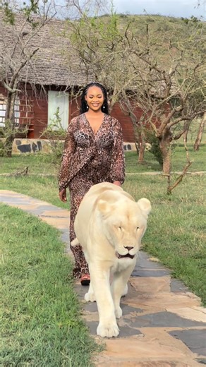 VS GLOBAL TRAVELS on Instagram: "Luxury Combo Kilimanjaro and Zanzibar 🇹🇿 Date: 13th - 21st March Price: 4,850,000 per person sharing a room Inclusion: •Flight Ticket •All transfers Included •Tanzania visa •2 nights stay at Serval Wildlife Kilimanjaro •4 nights In Zanzibar •Daily breakfast •Wildlife Interaction |Sunset on the mat | Gazebo breakfast, Bush lunch with animals around you, walking with Lions. •Safari blu trip with lunch | Swimming with turtles | Clear kayak with drone pictures and 