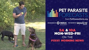 Pet Parasite Forecast: Anaplasmosis