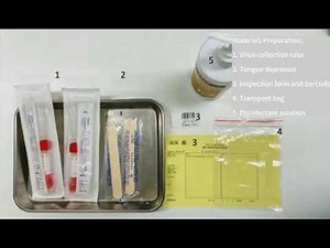 Swab Test Throat Collection Instructions