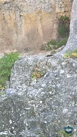 Πρώτη πτήση ever.Τι μπορεί να πάει στραβά;