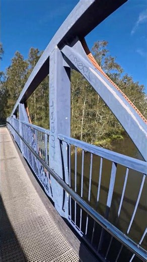 POV: Exploring Sydney’s peaceful lagoon (Narrabeen 4K) Part 2🦜
