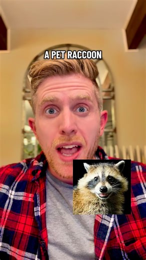 Alex Sundermann, DrPH | How did a pet raccoon die from an aroma spray bottle? It’s another example of amazing detective work by CDC, EPA, and public health... | Instagram