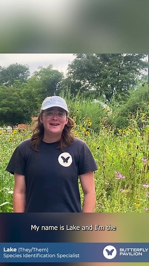 🐝 Happy National Honey Bee Day! 🍯 Let’s learn about the fascinating world of these incredible pollinators with Butterfly Pavilion’s Species Identification Specialist, Lake! From the secrets of hive life to the dance of pollination, learn about the importance of honey bees in our ecosystem! Want to learn more about honey bees and native bees? Visit Butterflies.org and get involved in supporting their conservation! #NationalHoneyBeeDay #ButterflyPavilion #Butterfly #CultureForAll #AzA #Invertebr