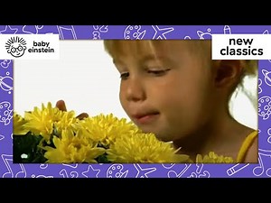 My First Signs - Let's Go Outside | New Classics | Baby Einstein | Learning Show | Cartoons for Kids